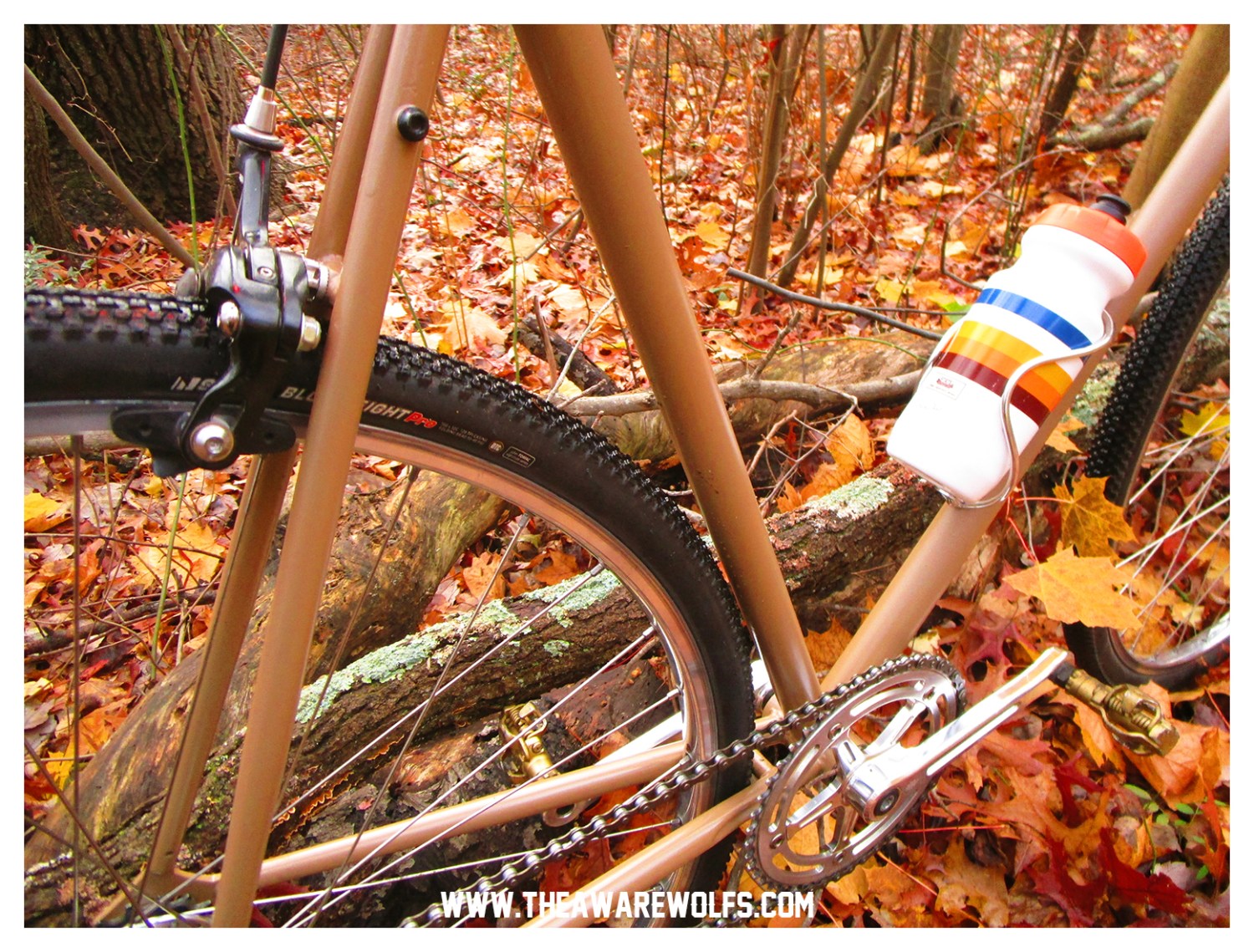 REVIEW : STATE BICYCLE CO CONTENDER CX CONVERSION | The Awarewolfs